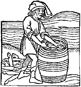 Polippus in barrels